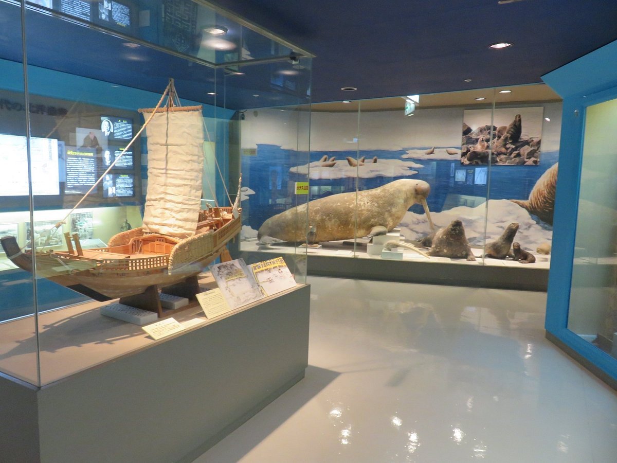 🏛️ 하코다테시 북양자료관 (하코다테시 호쿠요시료칸) 이미지 8